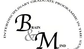 brain_mind-1-480x304