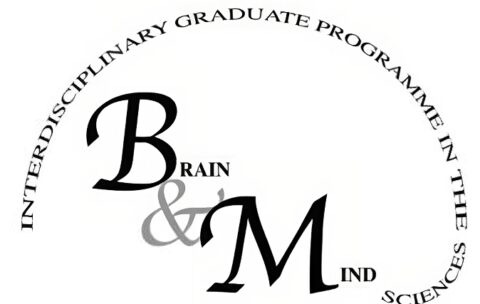 brain_mind-1-480x304